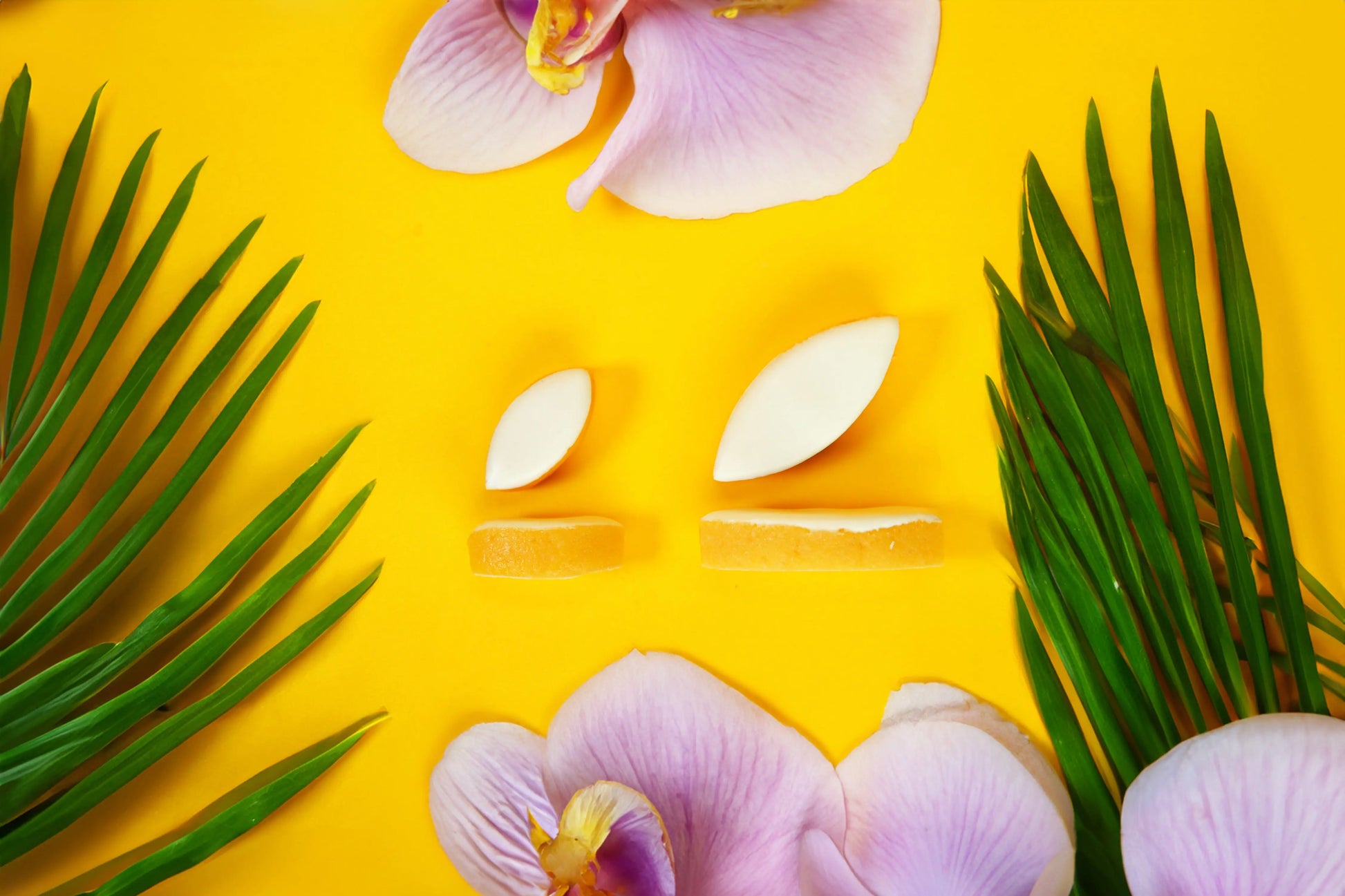 Etuis de calissons Ma boutique